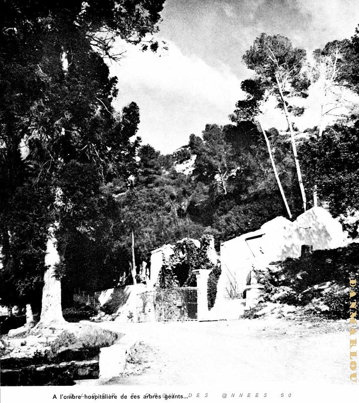 Misserghin - Grotte de la Vierge N.D. de Lourdes - 04.jpg